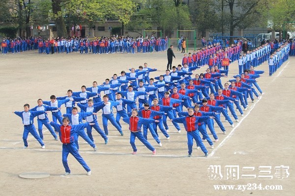 2422919_975141.jpg