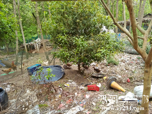 IMG20160409150037.jpg