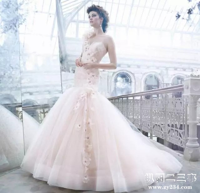640.webp (1).jpg