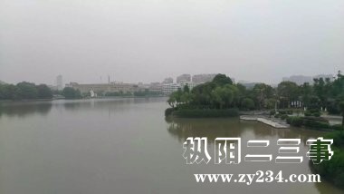 psb (3).jpg