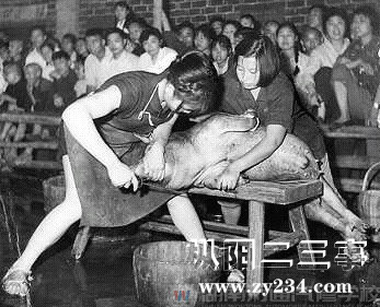 杀猪-女中豪杰