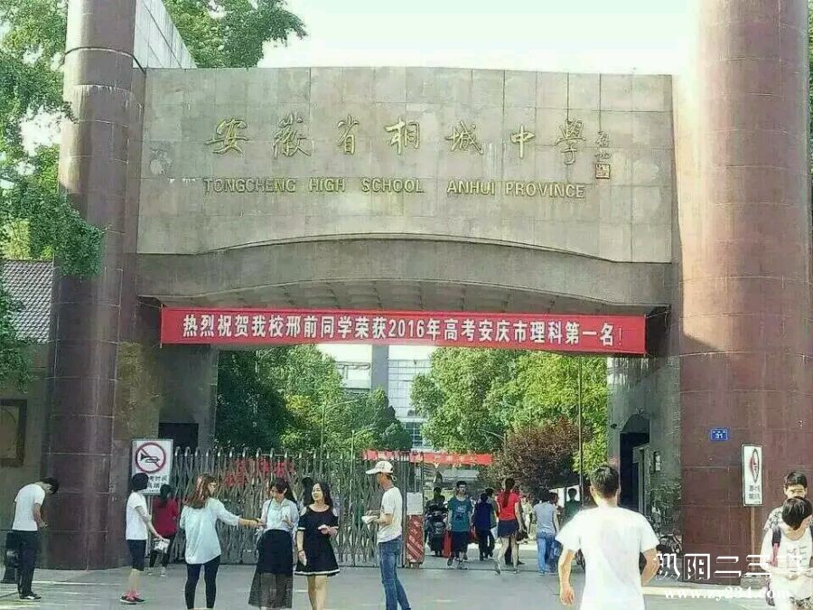 陈瑶湖网 www.chenyaohu.com
