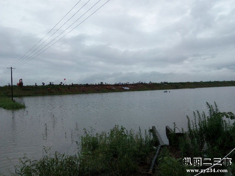 IMG_20160702_152129.jpg