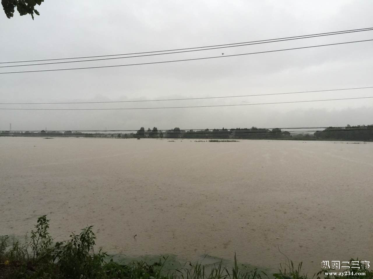 钱桥村的海