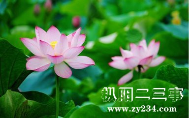360墙纸图片大全_360图片_20160610_13110017314864578_000.jpg