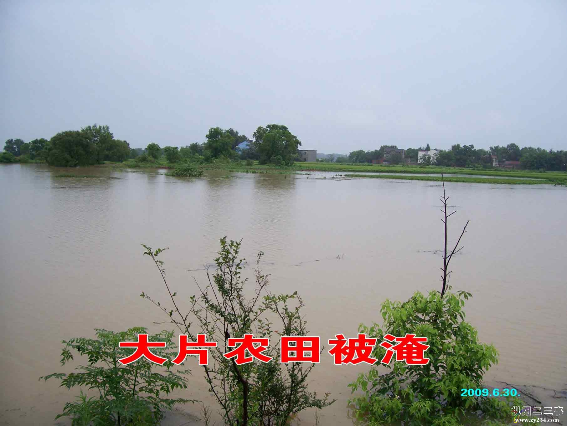 洪水2.jpg