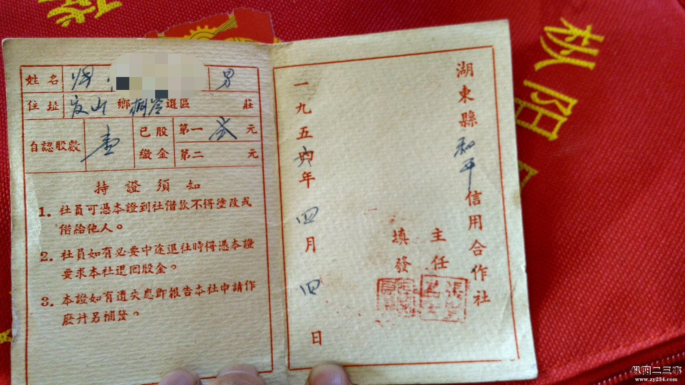 这是农村信用社股金证