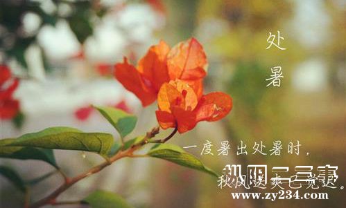 处暑.jpg