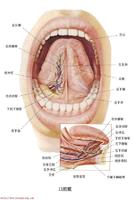 c8ea15ce36d3d53915618da63a87e950352ab073.jpg