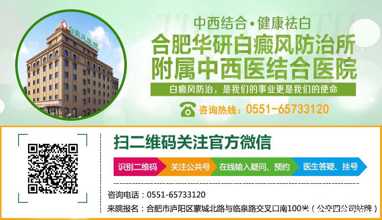 枞阳234.jpg