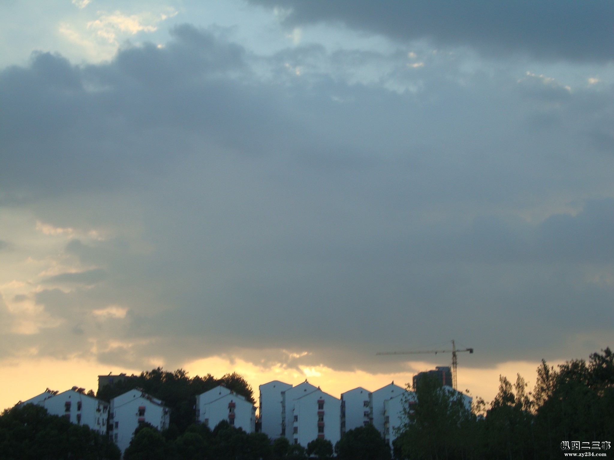 DSC02439.JPG
