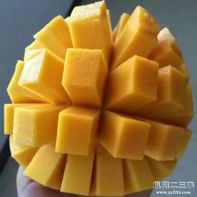 海南青皮凯特芒果