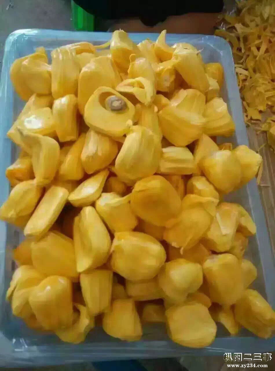 海南菠萝蜜