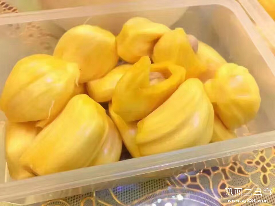 海南菠萝蜜