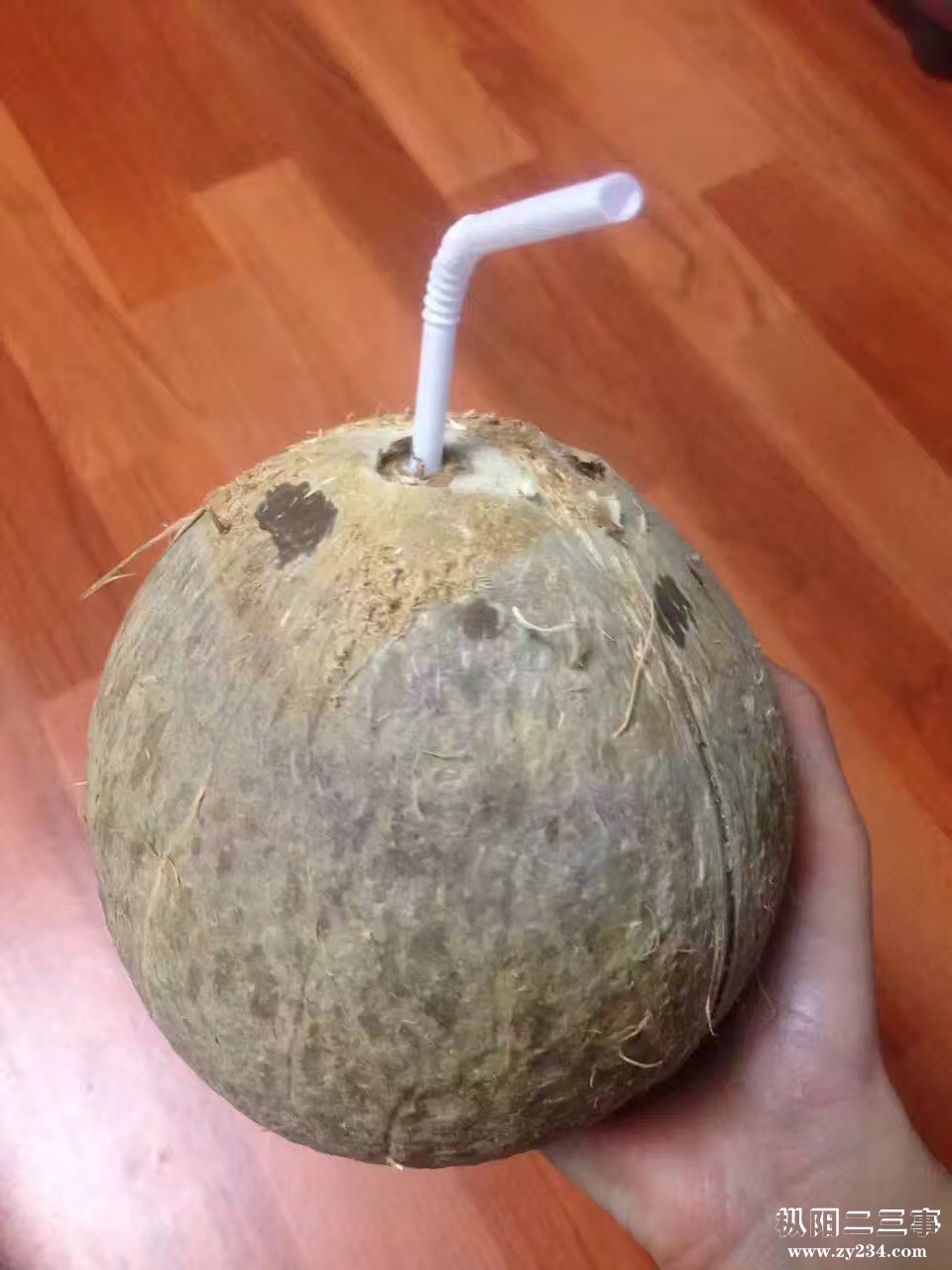 海南除皮椰子