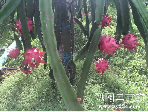 QQ图片20160924111730.png