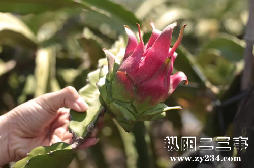 QQ图片20160924111737.png