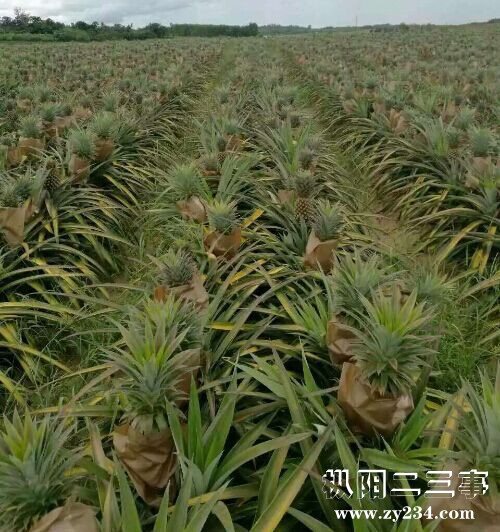 QQ图片20160924111755.jpg
