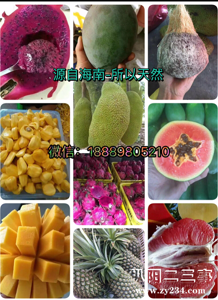 IMG_0832.PNG