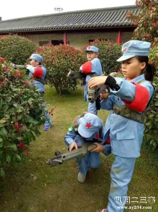 6419846.jpg