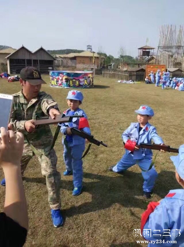 8113233.jpg