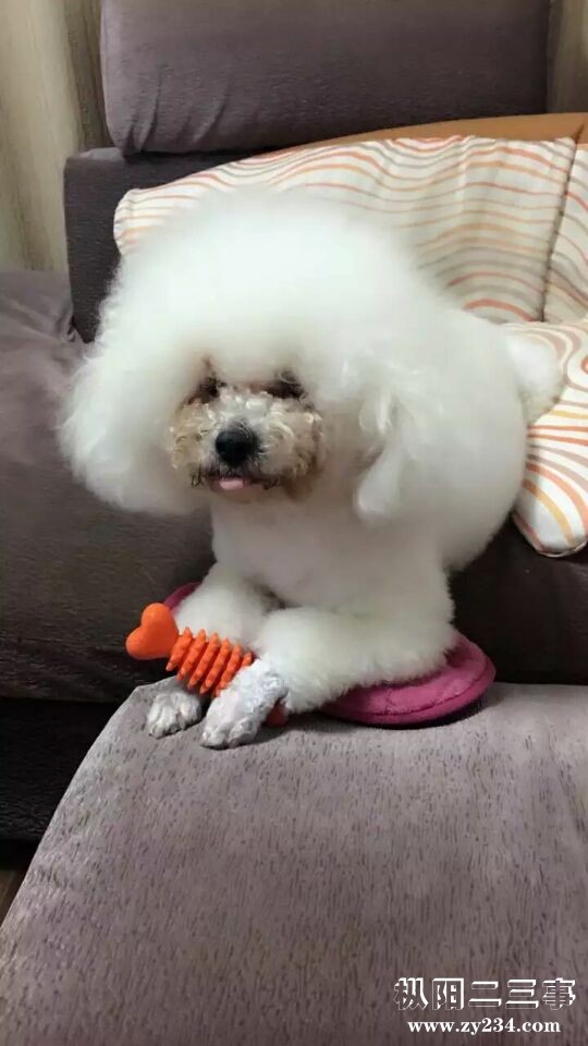 QQ图片20161123103415.jpg