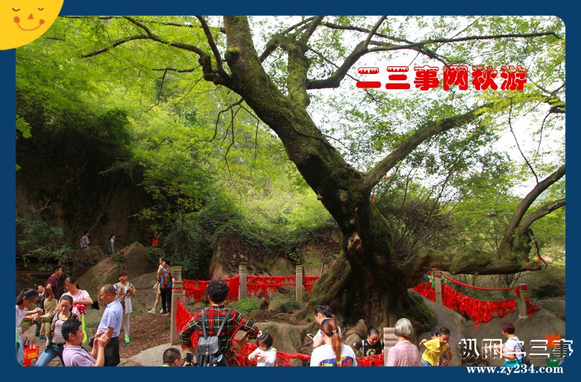 p.234 045_副本.jpg