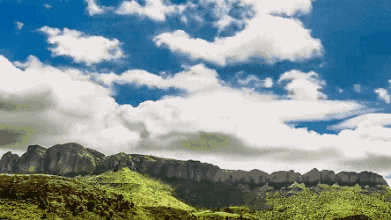 01.gif