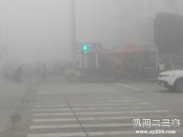 33616A32@D165515B.60855C58_recompress.jpg