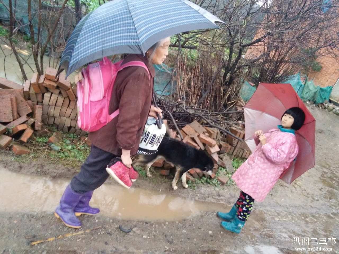 479583138951548227.jpg