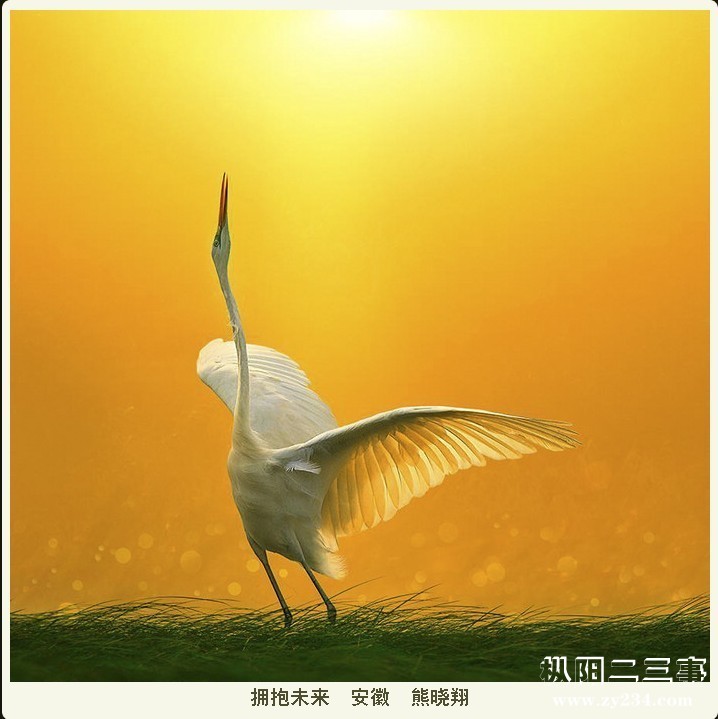 起飞.jpg