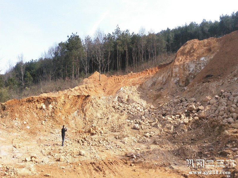 g3472.jpg