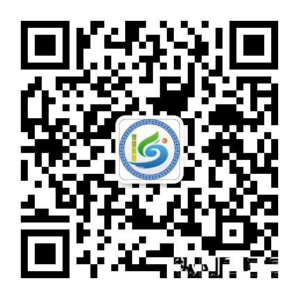 智慧枞阳二维码.jpg