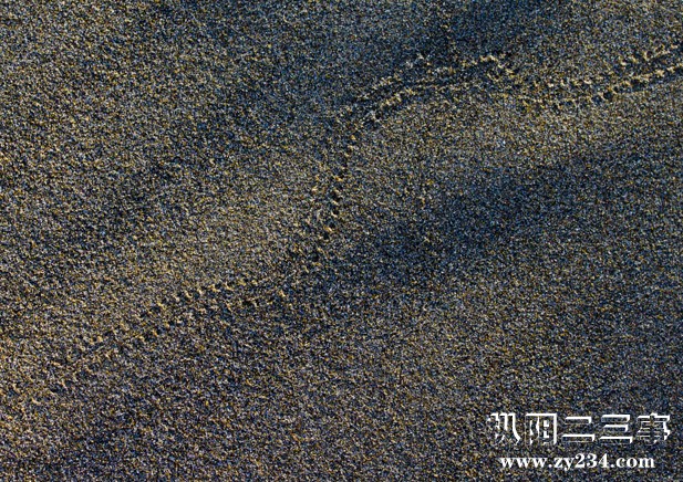 IMG_2804副本.jpg