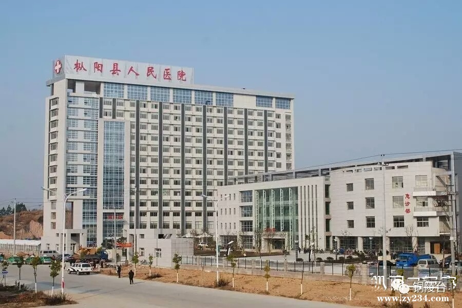 mmexport1487672962700.jpg