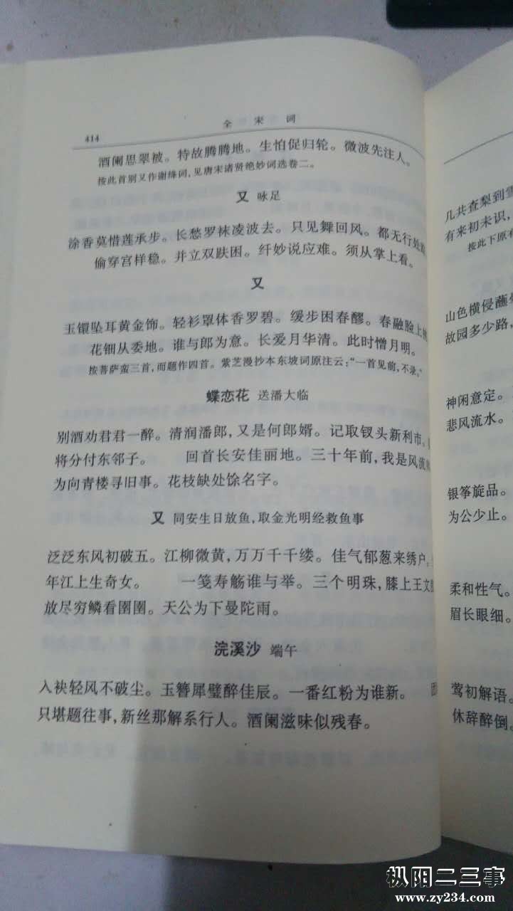 《全宋词》苏轼词.jpg