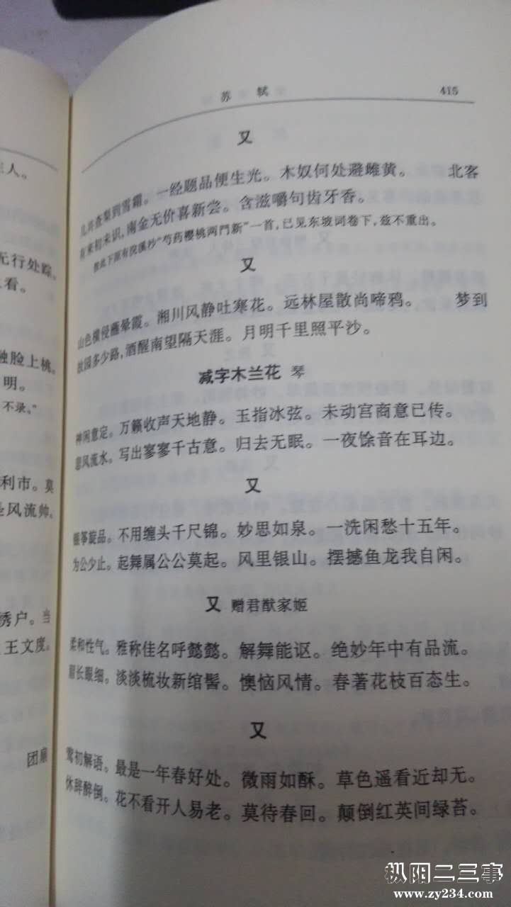 苏轼词《全宋词》.jpg