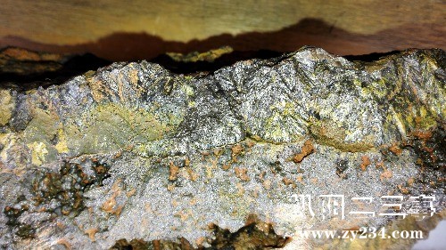 IMG_20161104_082042.jpg
