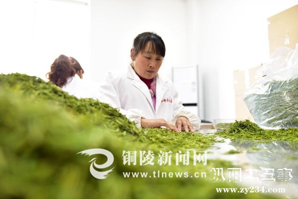 7427eae52f891a4e99660a.jpg