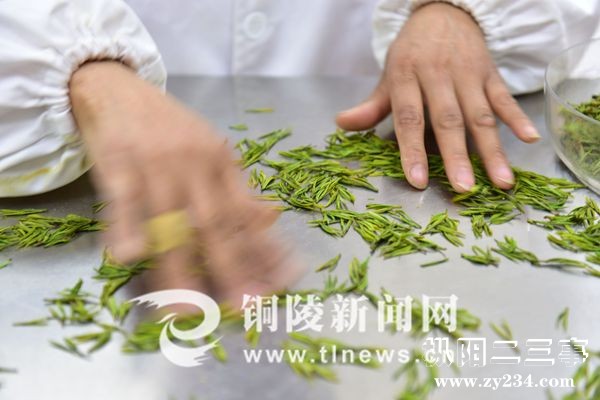 7427eae52f891a4e996610.jpg