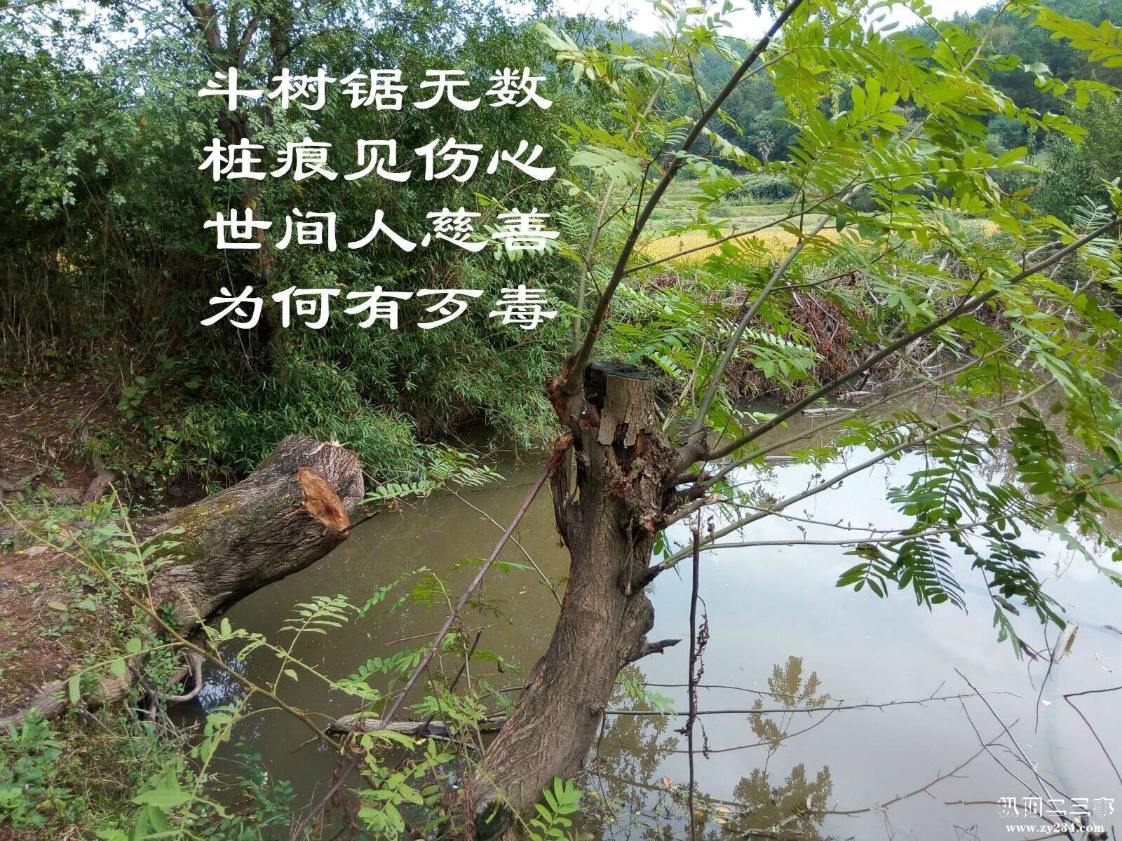 psb (12).jpg