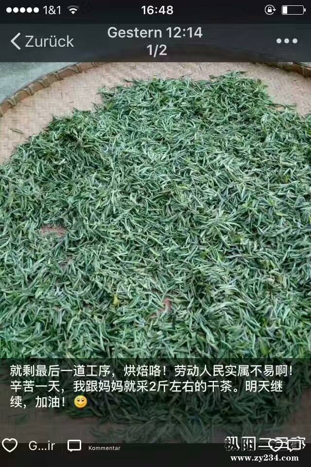 mmexport1491990405427.jpg