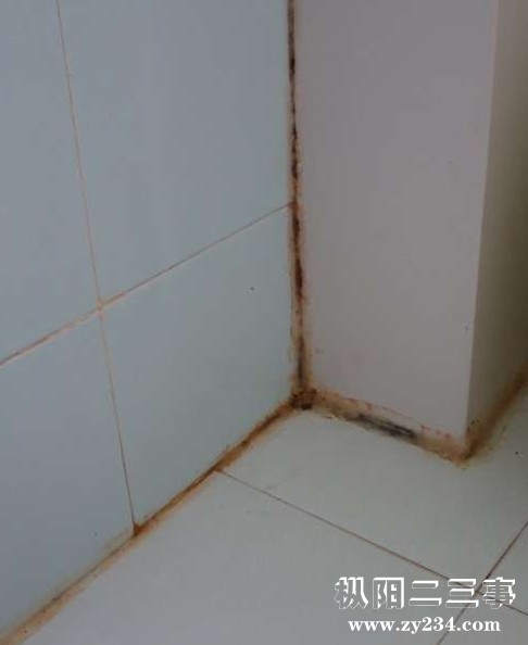 卫生间硅胶发霉图片.jpg