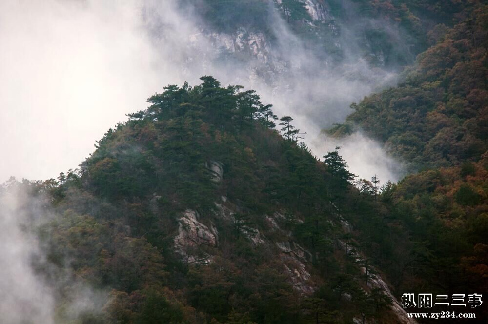 灵气1.jpg