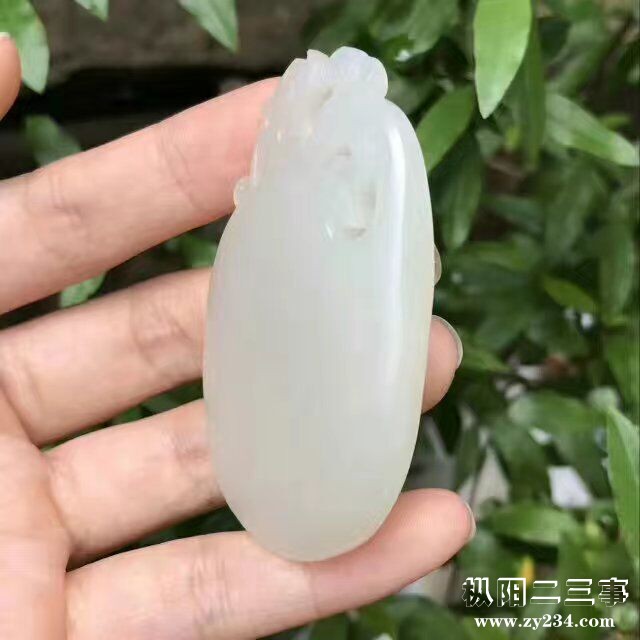 QQ图片20170512155611.jpg
