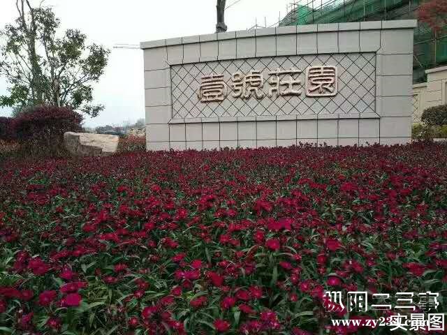 819172808827218354_副本.jpg