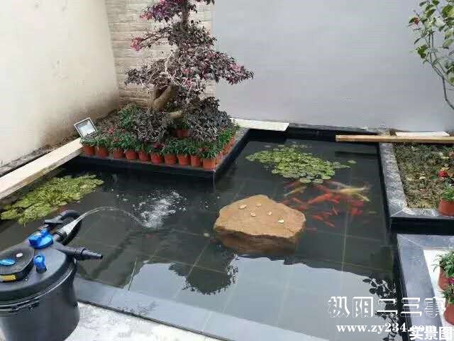 538582370496349996_副本.jpg