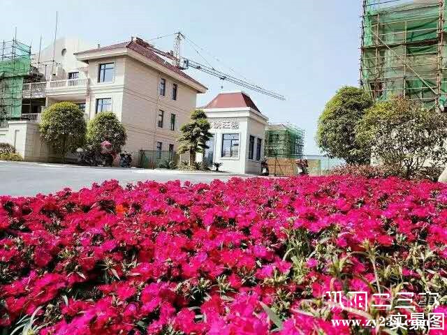 179898800303210107_副本.jpg