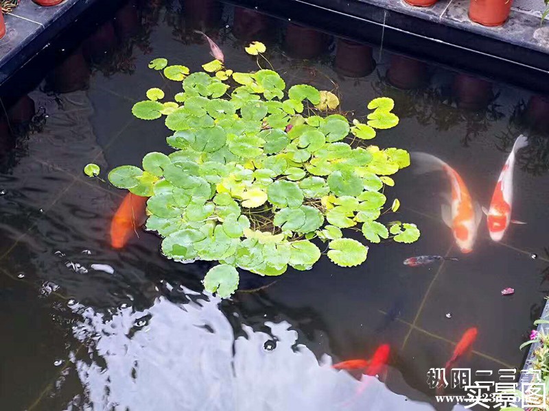 99371495498070572_副本.jpg