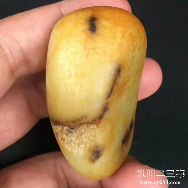 QQ图片20170515183611.jpg